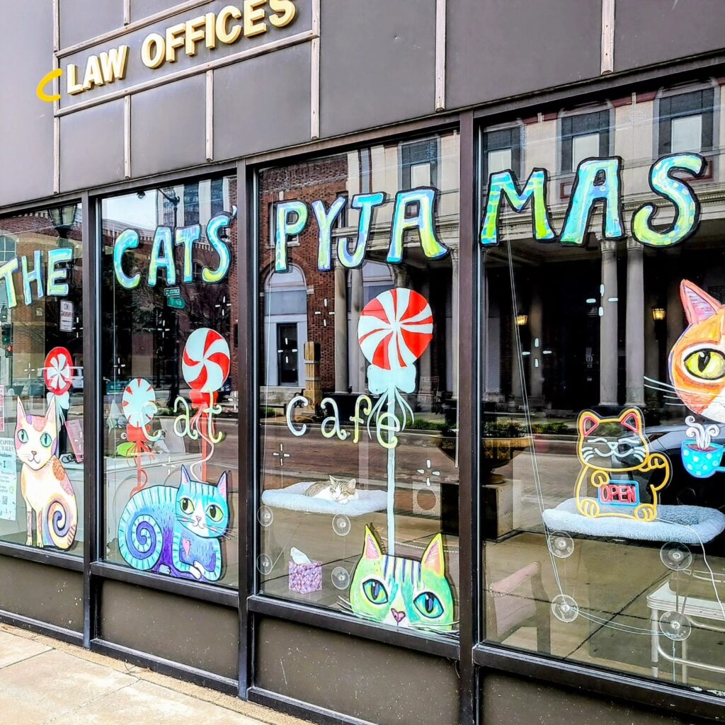 The Cat’s Pyjamas Cat Cafe in Springfield