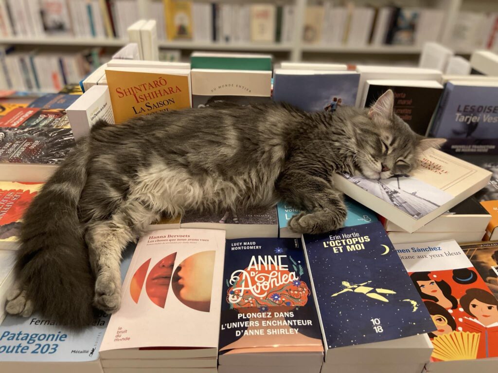 Aix en Provence librairie