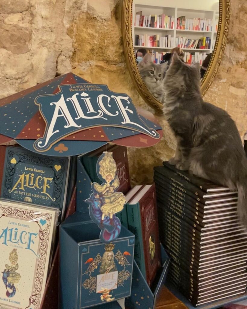 Alice au pays des merveilles
