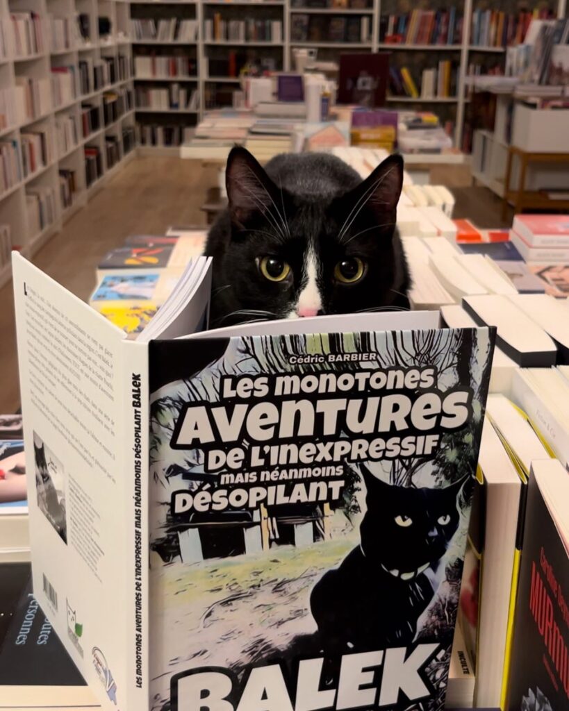 Les monotones aventures de l'inexpressif mais néanmoins désopilant Balek