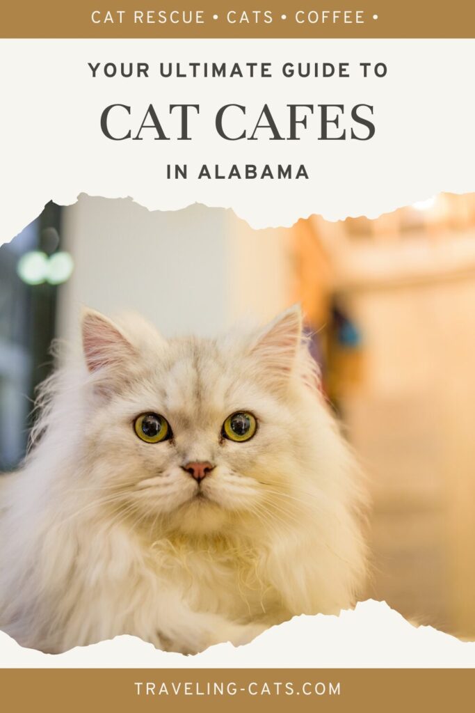 cat cafes in Alabama