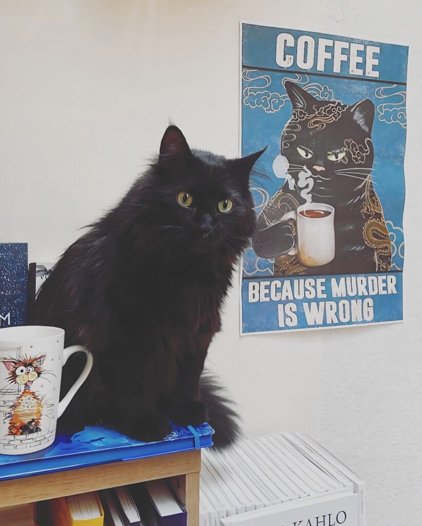 coffee because murder is wrong