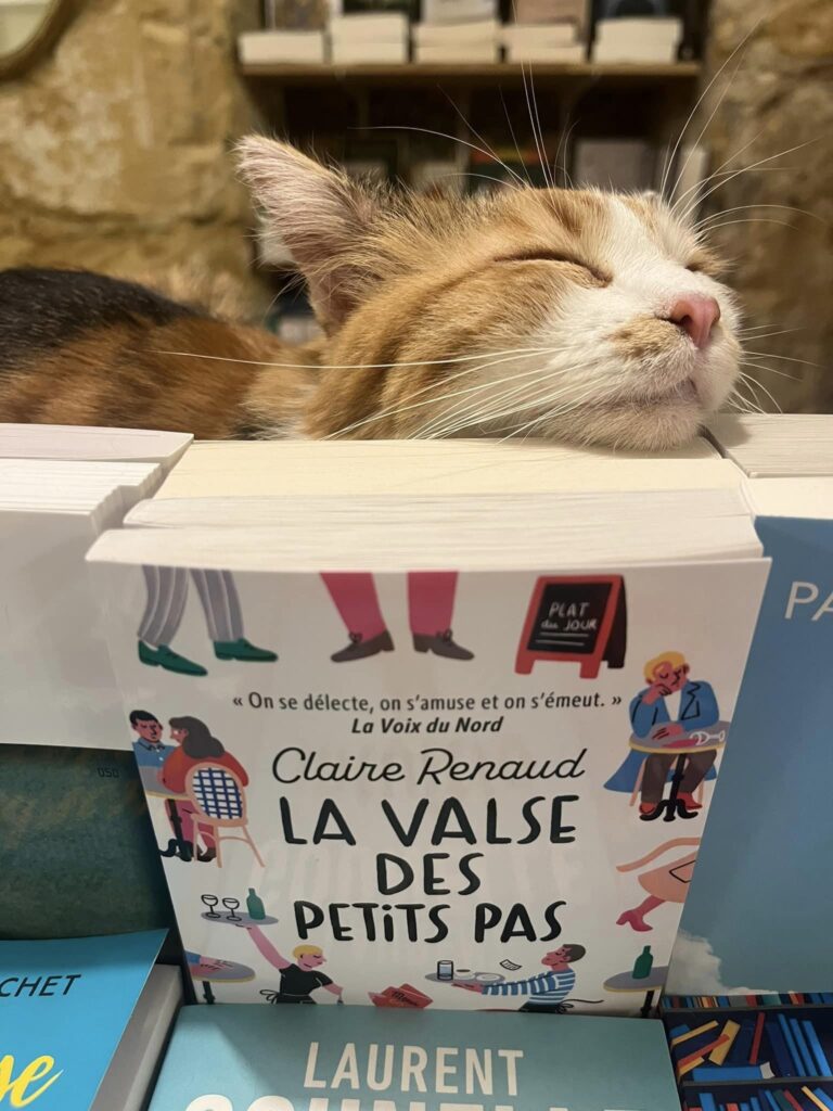 La valse des petits pas