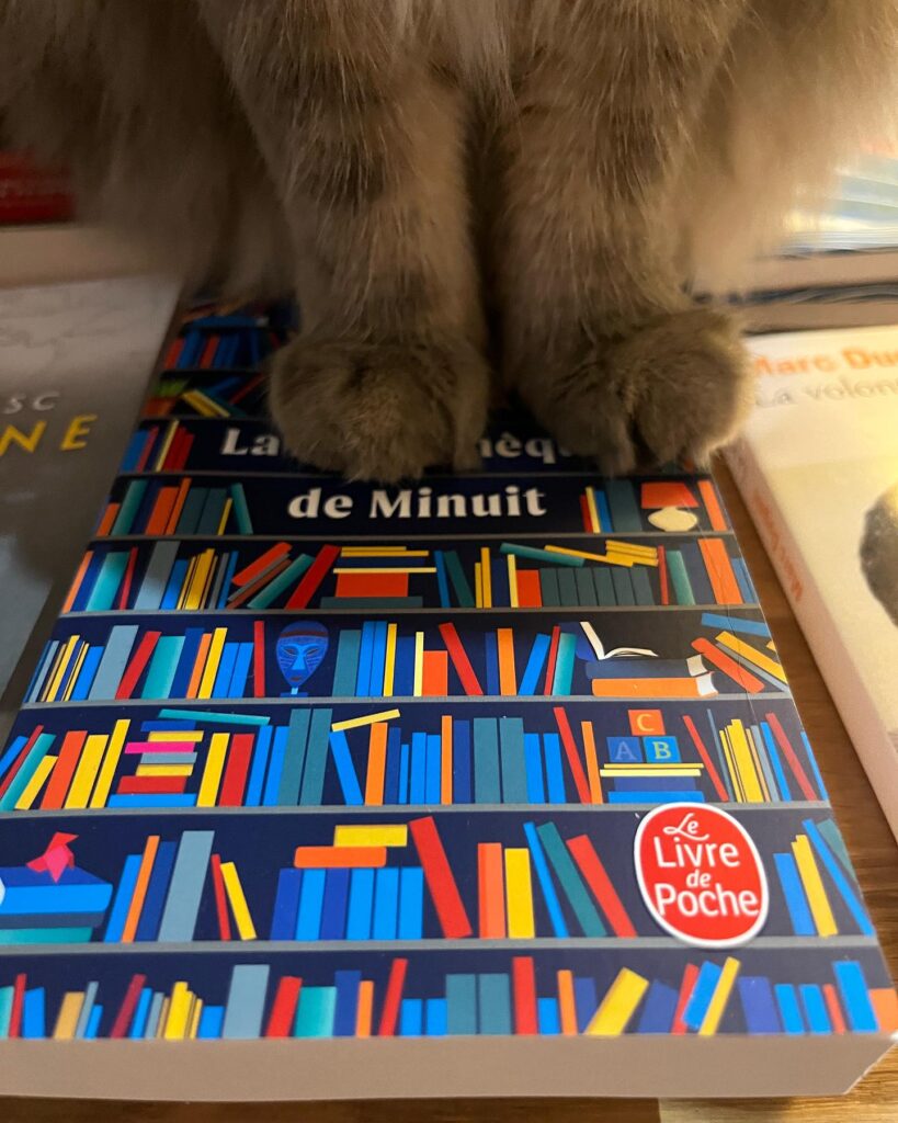 livre de poche avec pattes de chat
