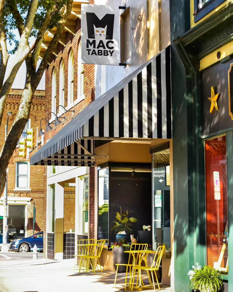 Mac Tabby