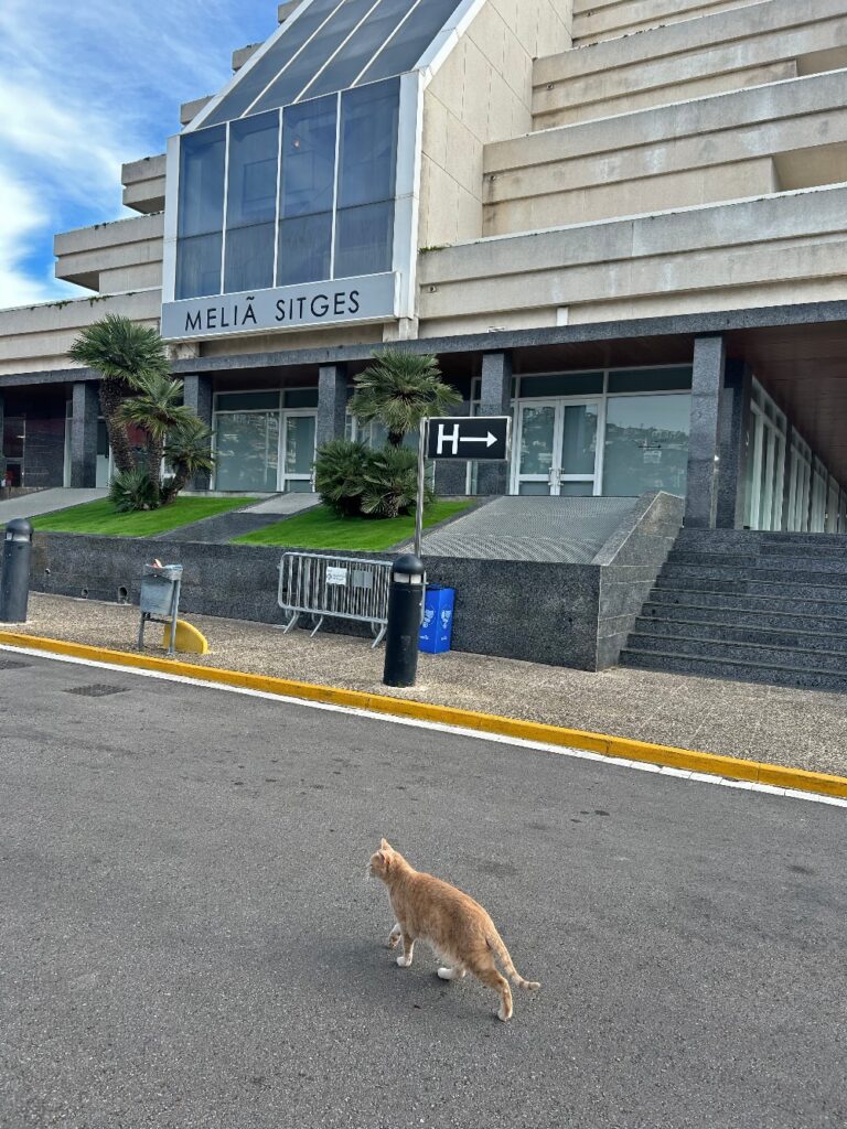 Hotel Meliá Sitges