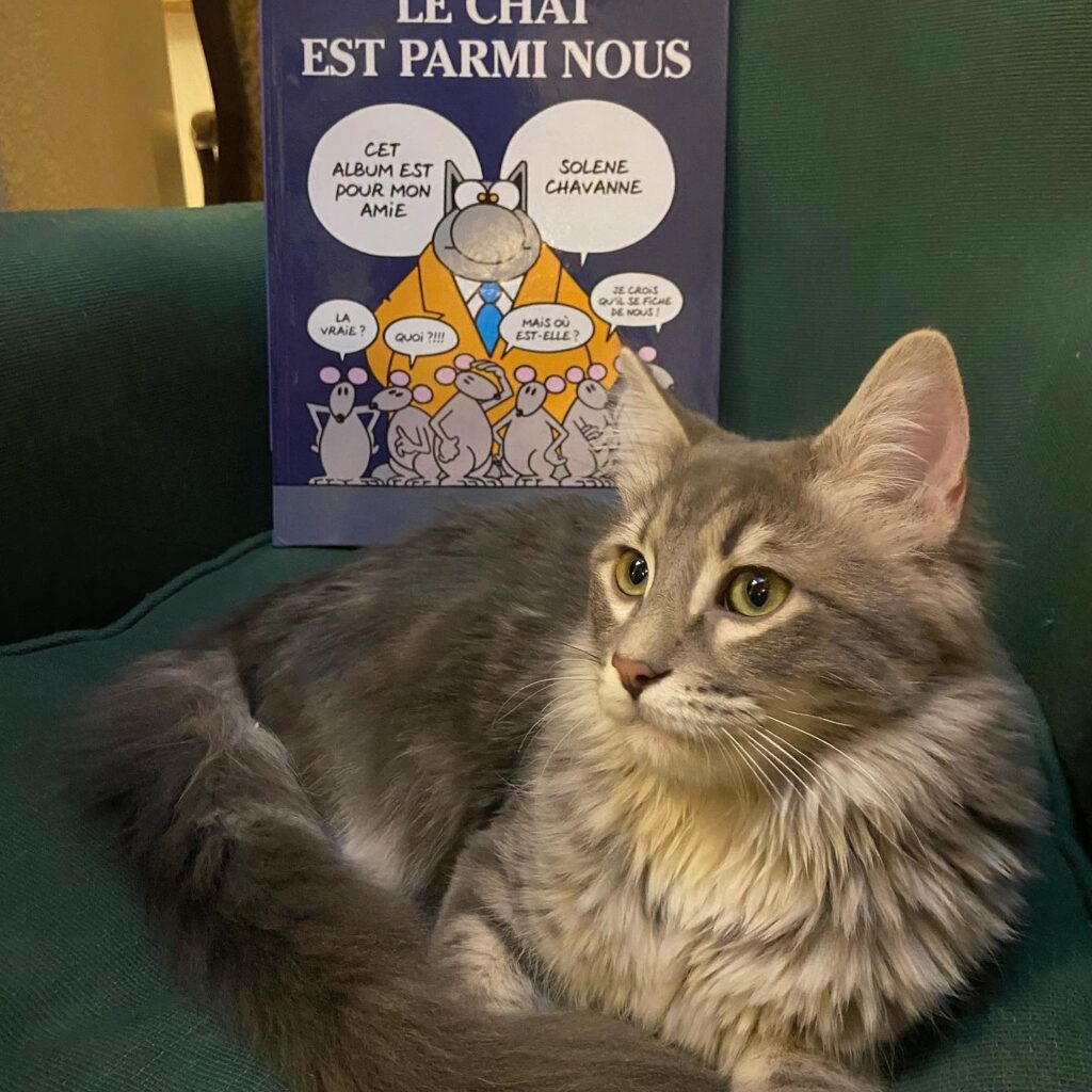Philip Geluck Le chat