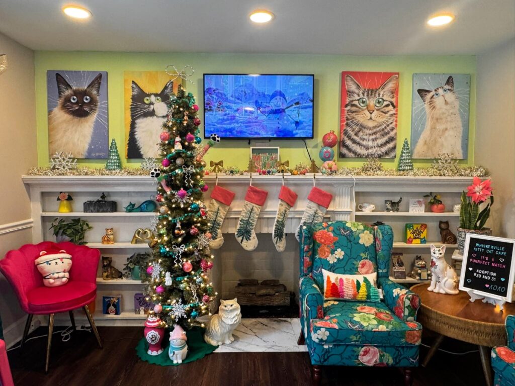 Whiskerville Kitty Cat Cafe