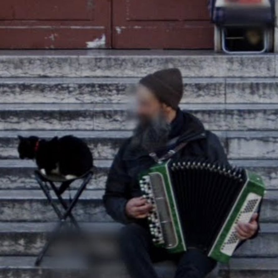 Busker and his cat in Paris