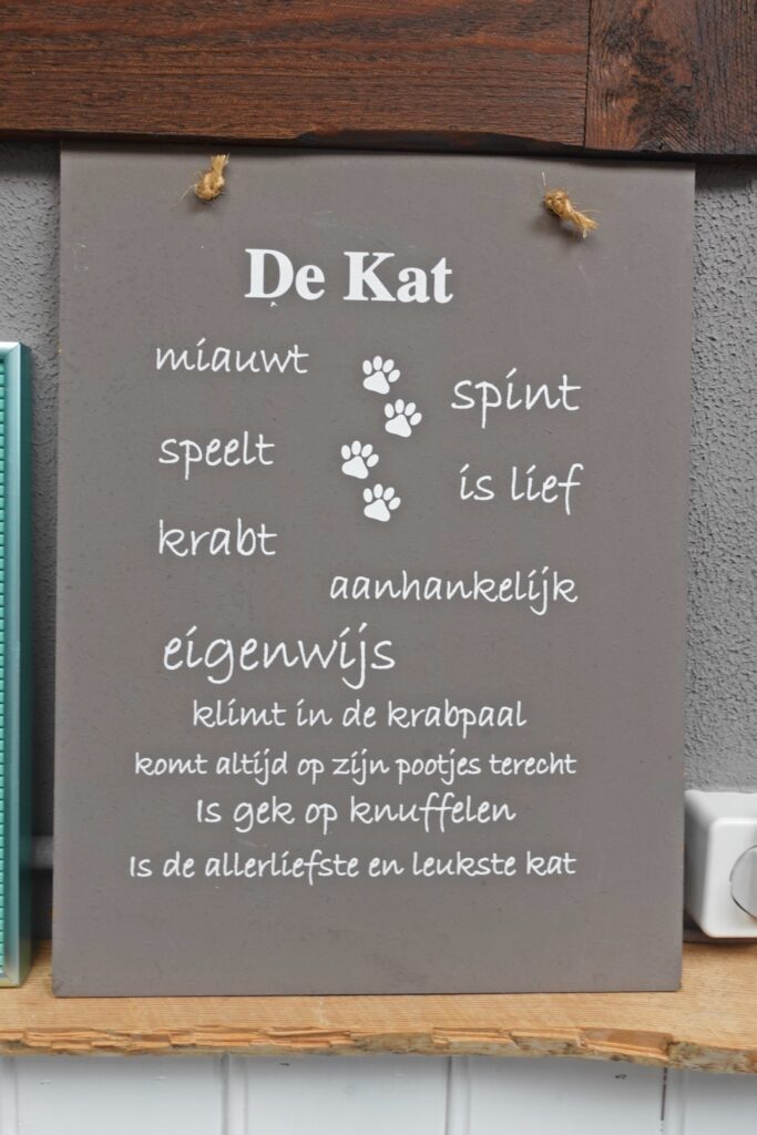 de kat