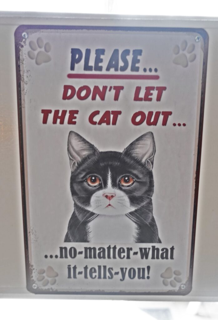 Don't let the cat out no matter what it tells you