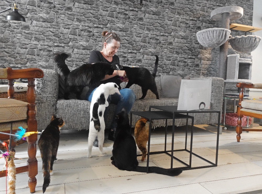 Dordrecht coffeeshop