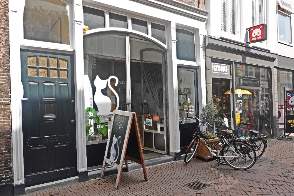 Dordrecht Vriesestraat