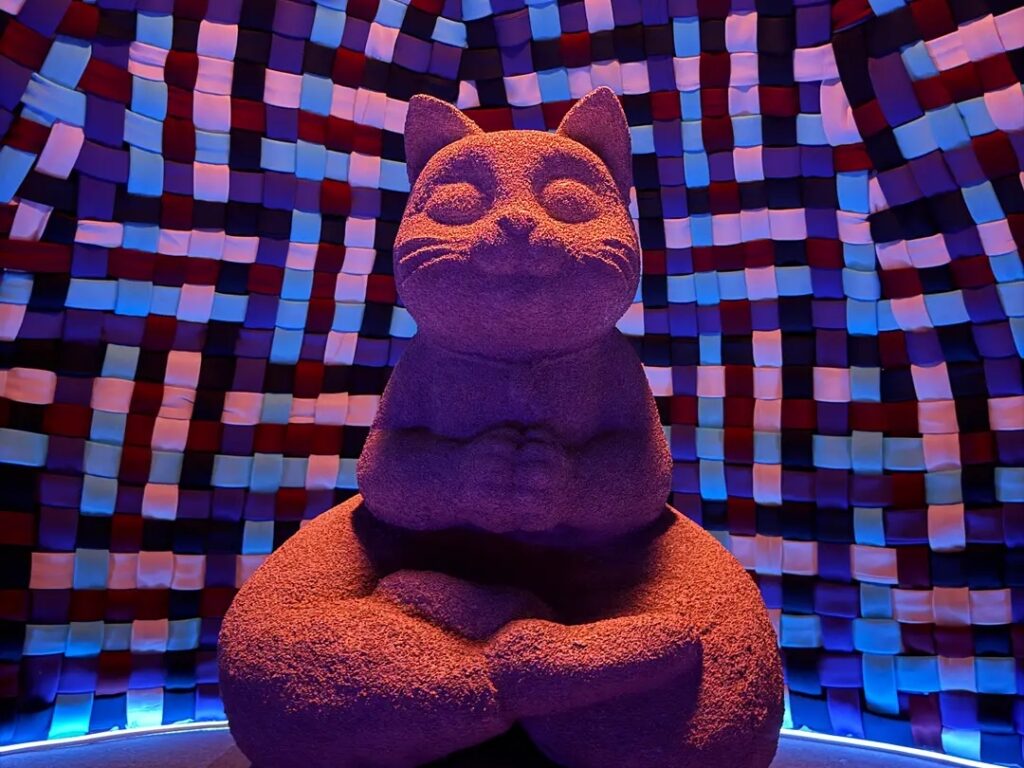 El Museo del Gato