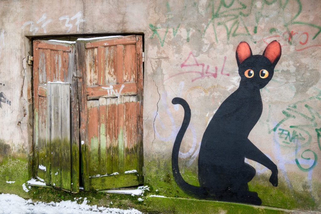 Kiwie Flow cat mural in Riga