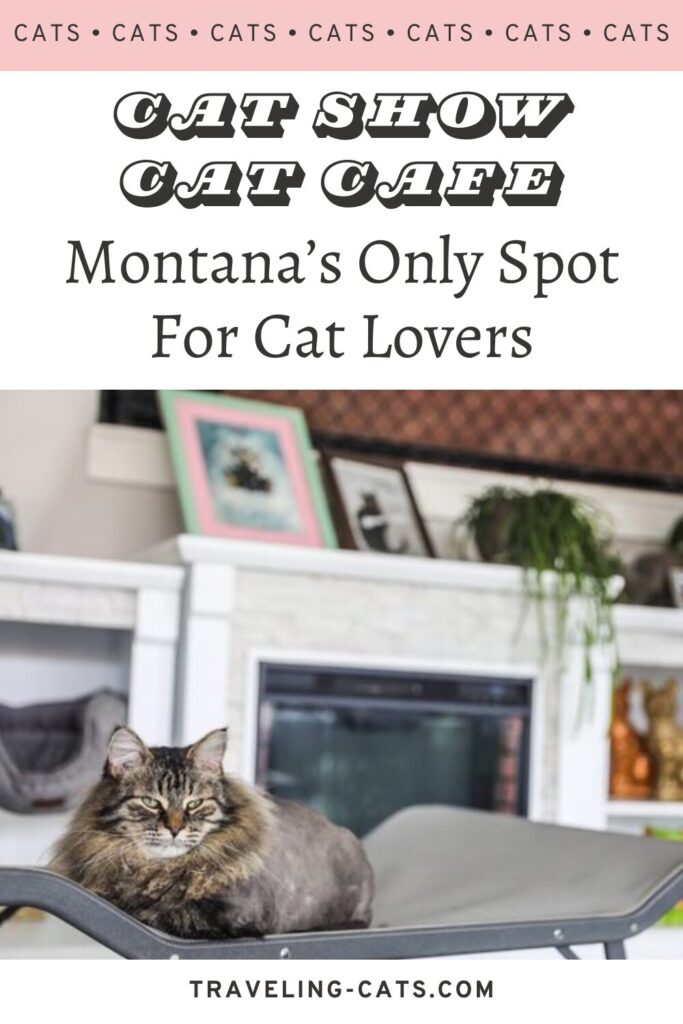 Montana must see