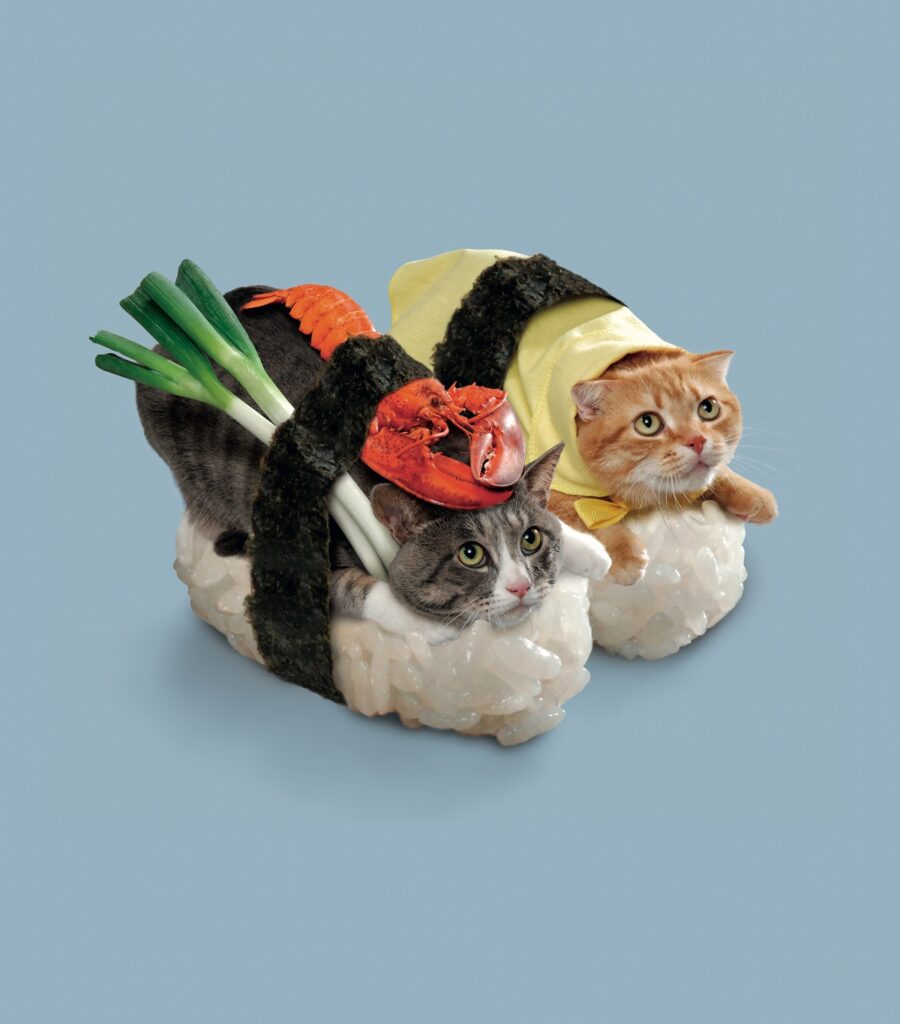 Nekozushi