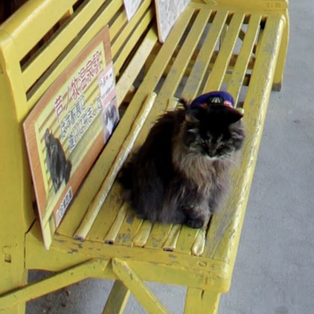 Station Master Cat in Aizuwakamats Japan