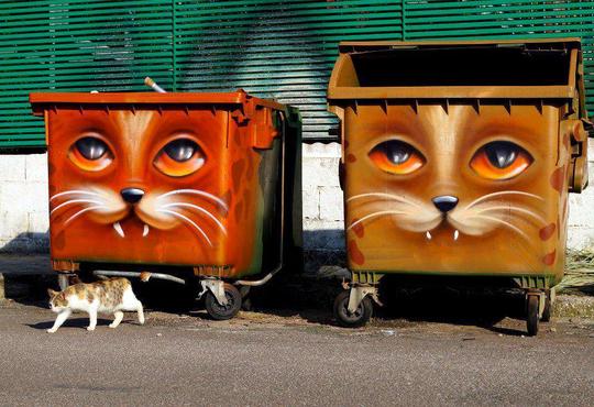 cat Berlin