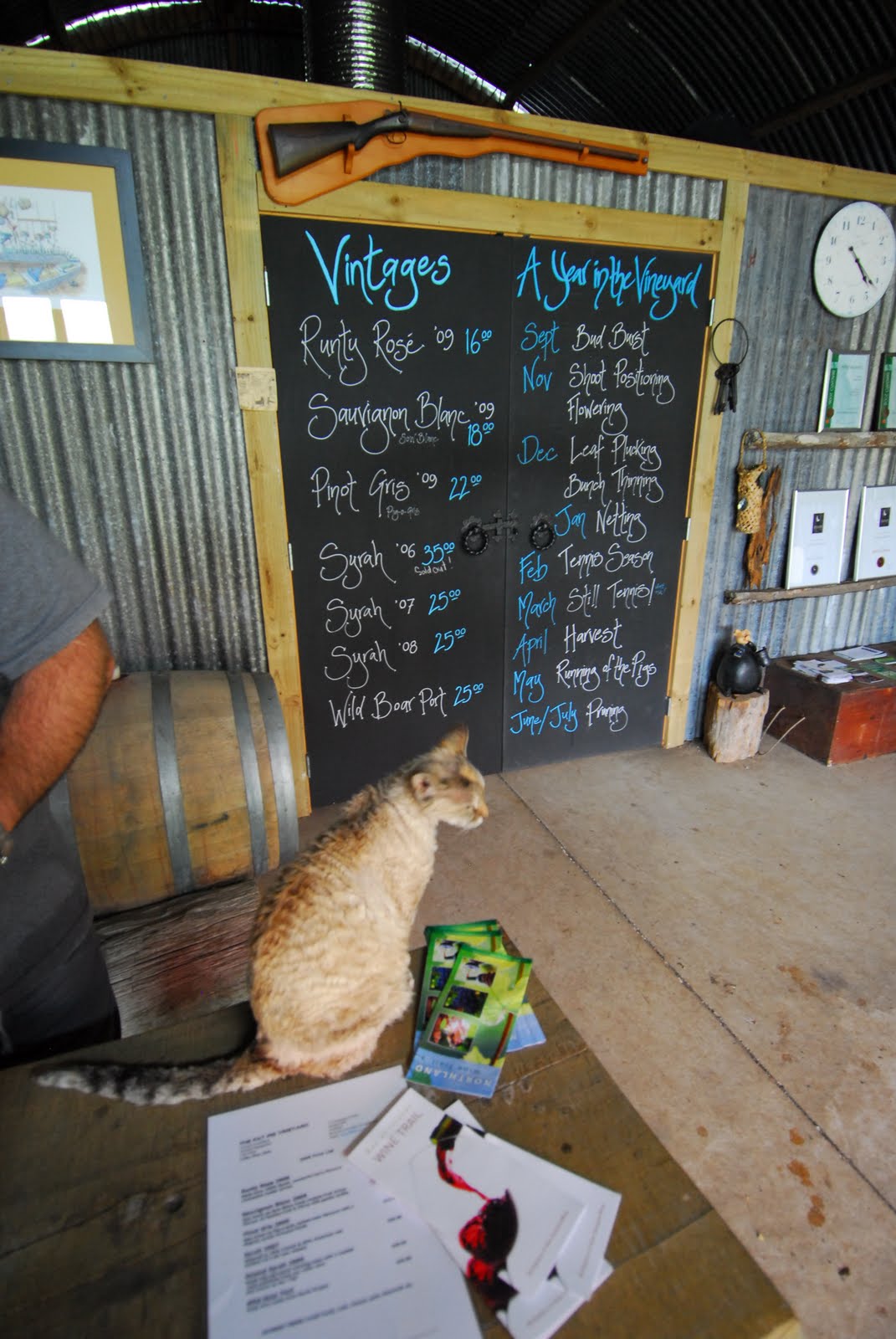 Kerikeri Fat Pig Vineyard