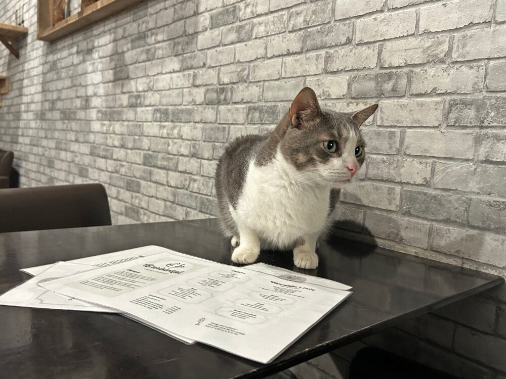 B'Aristokat menu