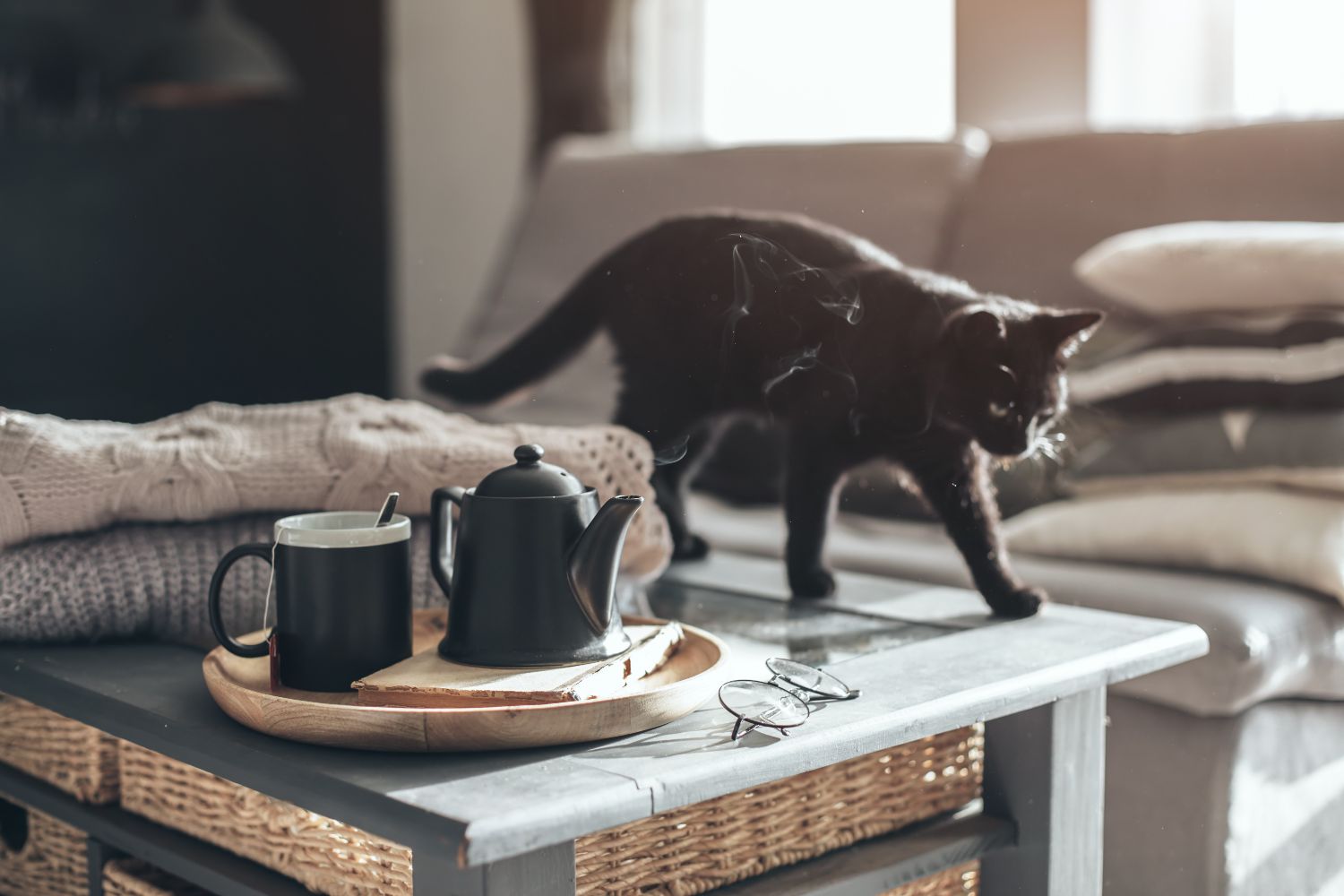 cat cafes in Nevada