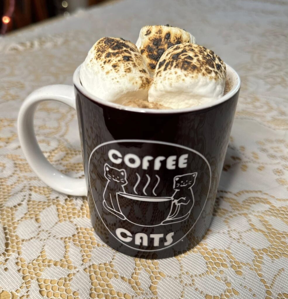 coffee and cats
