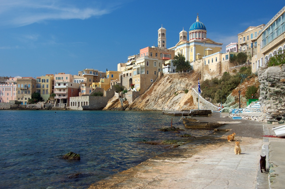 cats in Ermoupoli on the Greek island Syros