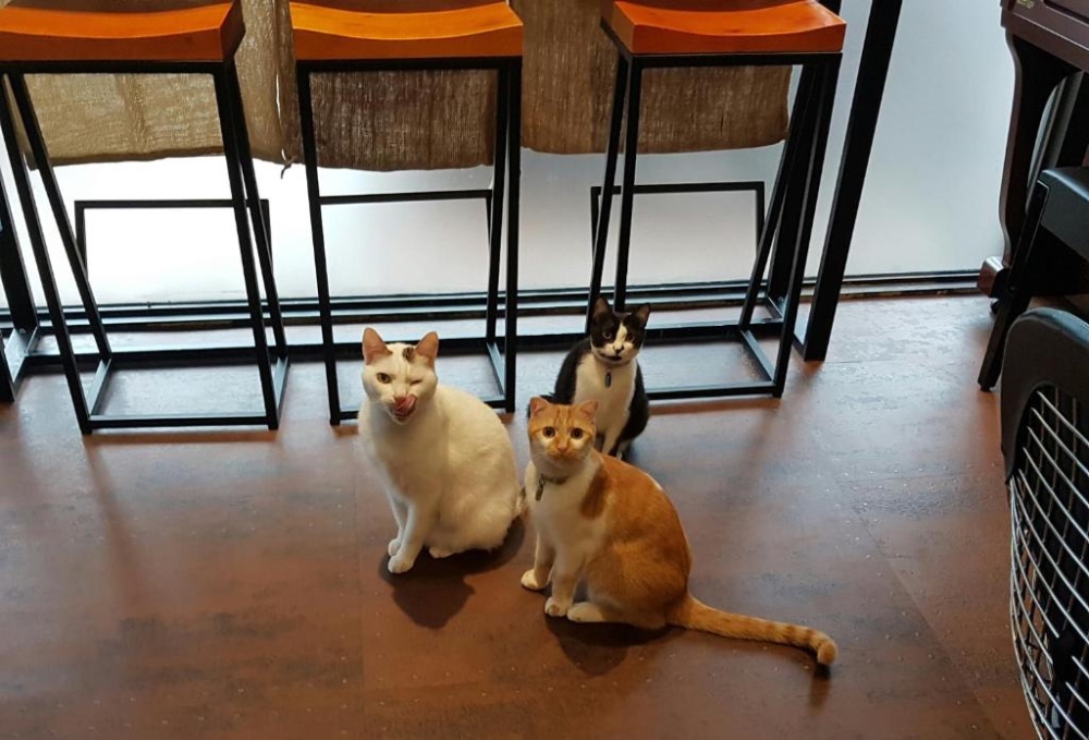 Hualien City Hostel