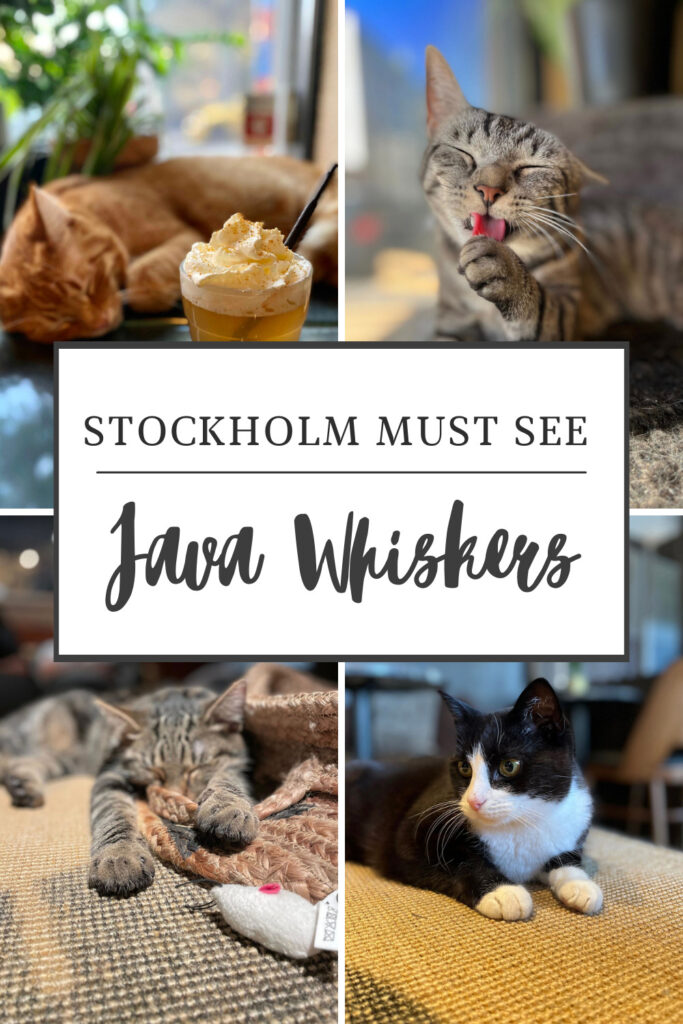 Stockholm must see
