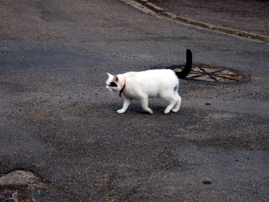 Chassepierre