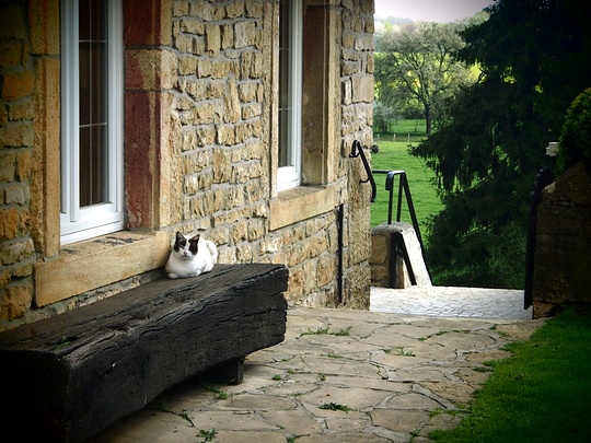 Ardennes