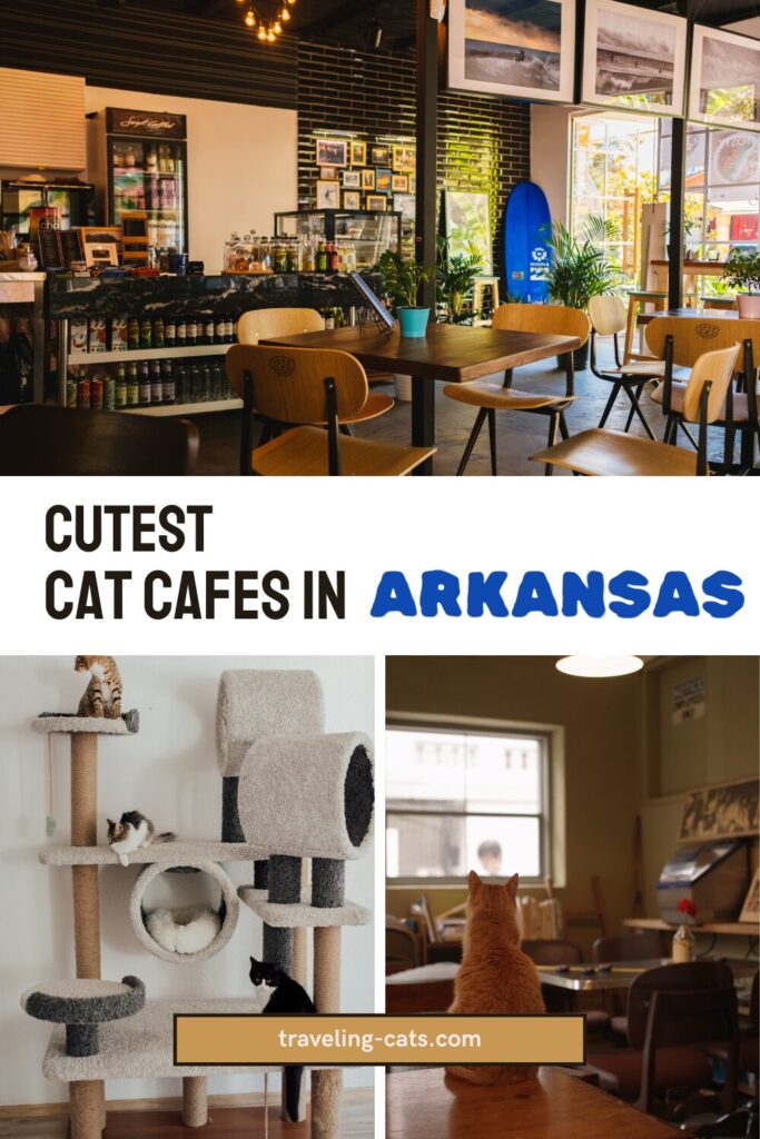 cute cafes in Arkansas