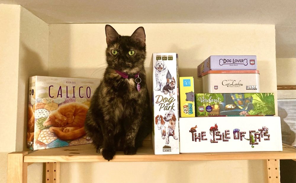 Press Paws Cat Cafe & Game Room in Burlington