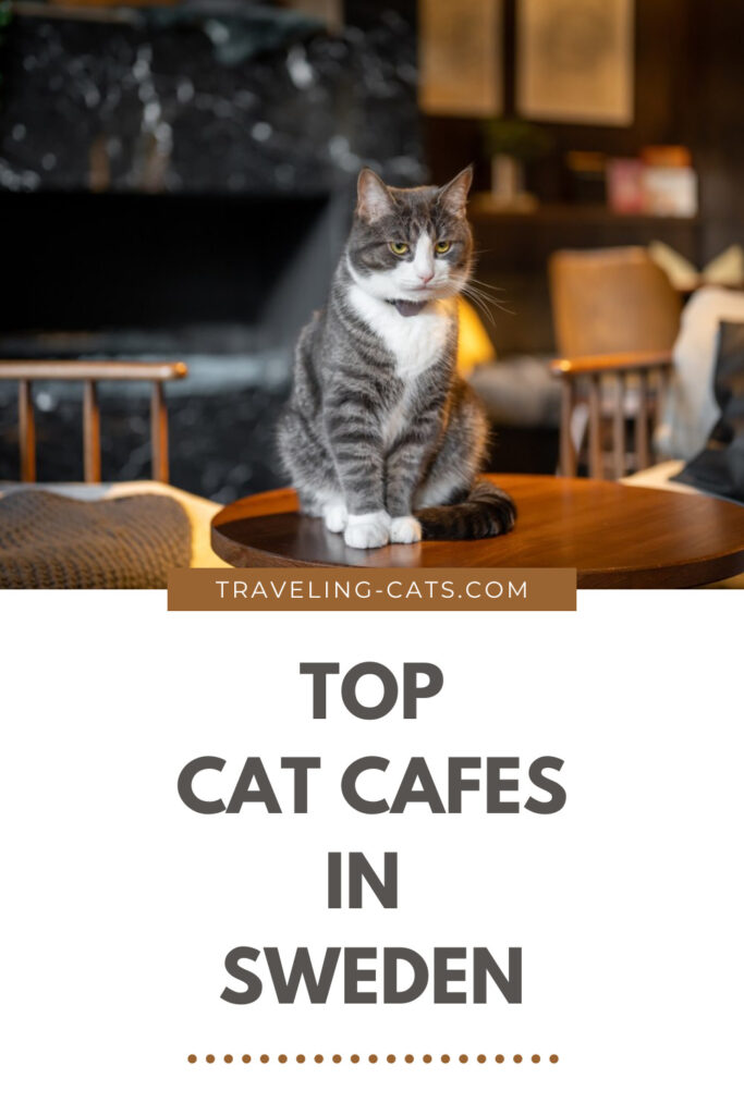 Sweden cat cafes