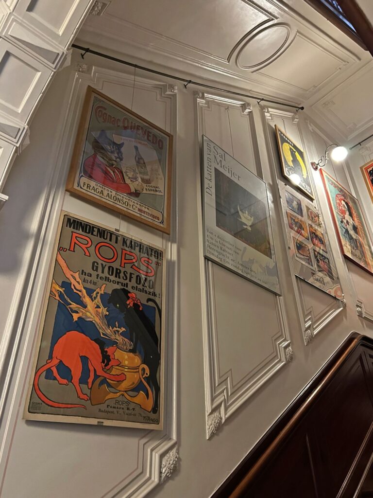 Amsterdam Cat Cabinet
