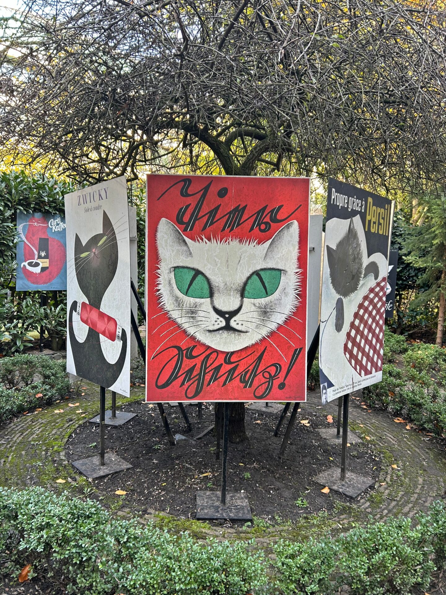 Amsterdam cat museum