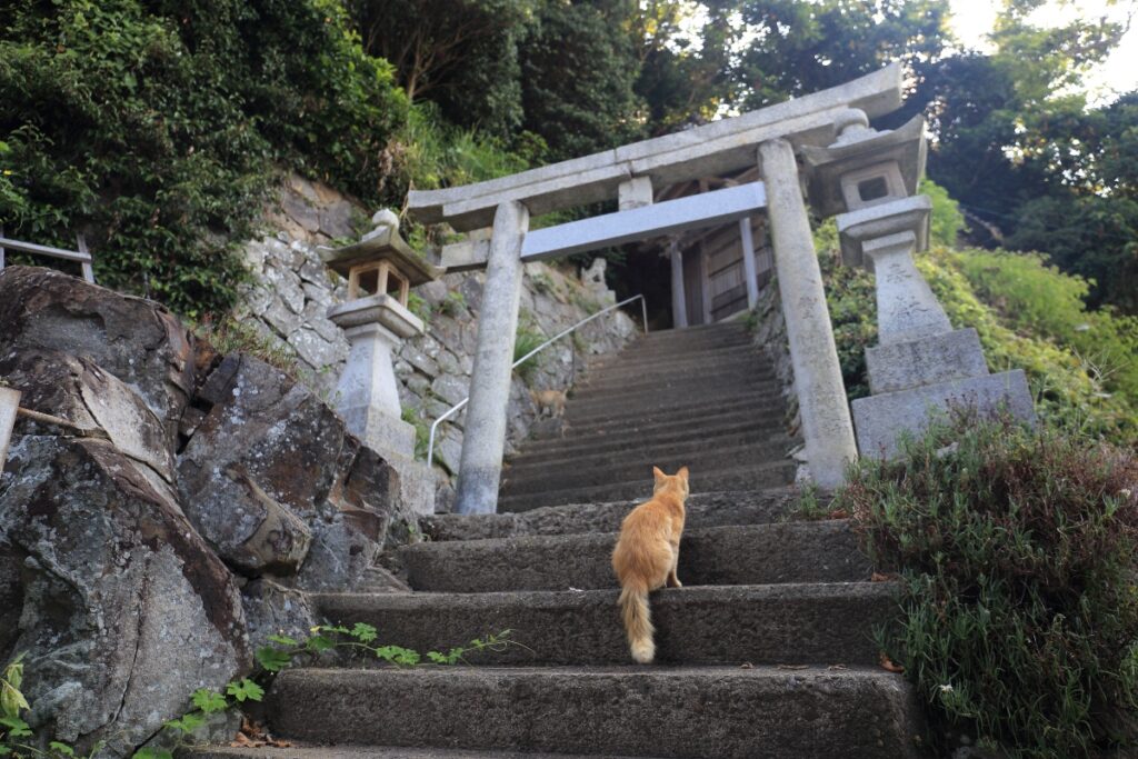 shrine on cat island Japan