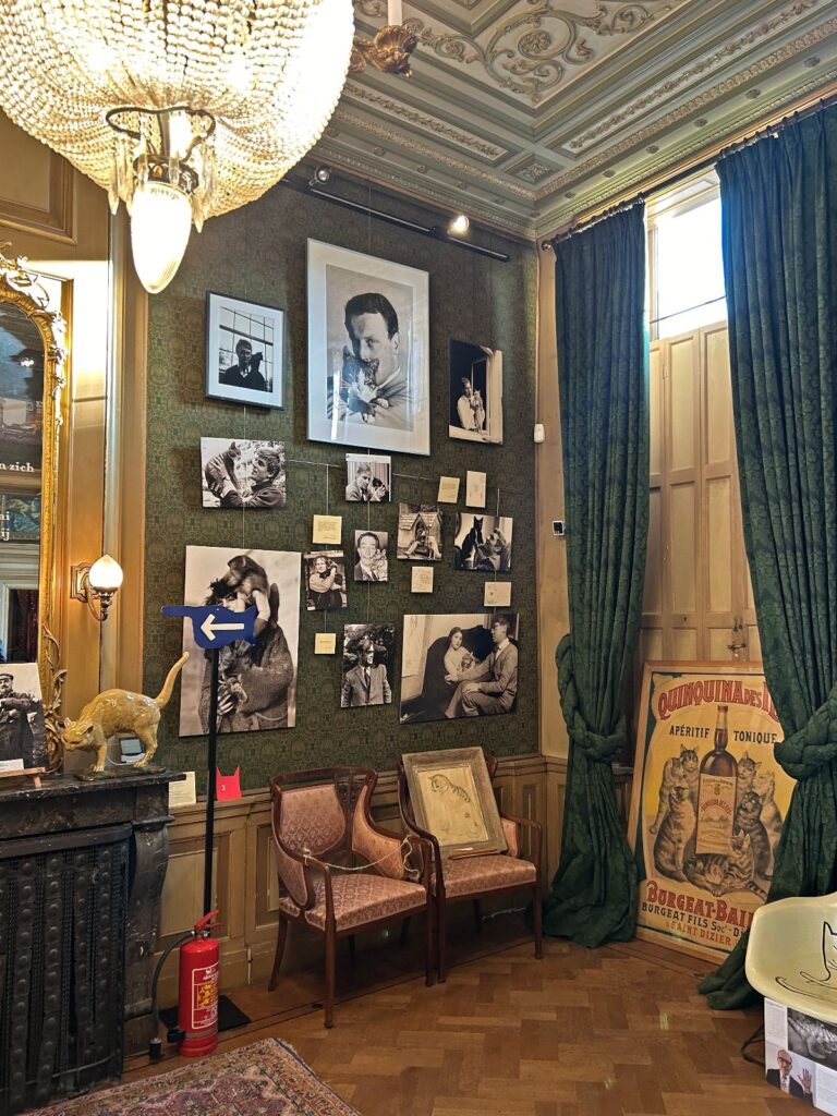 cat museum Amsterdam