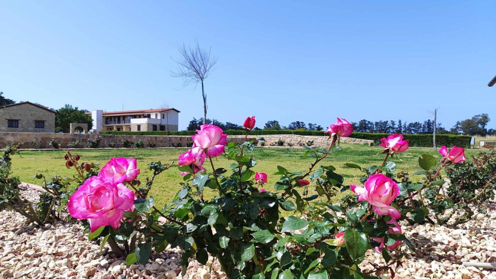 must-see monastery in Cyprus