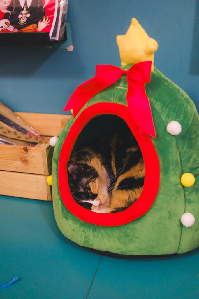 Christmas tree cat bed
