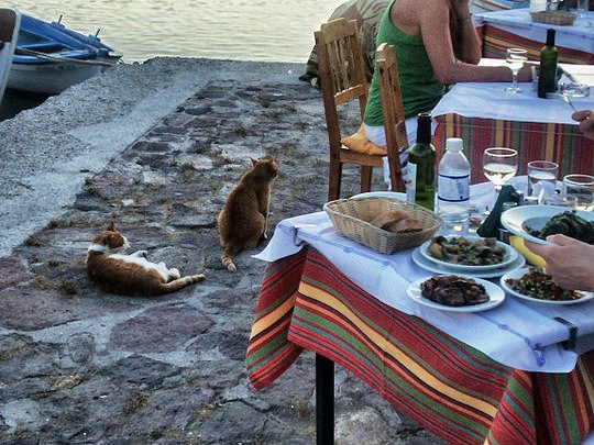 Captain's Table Molyvos