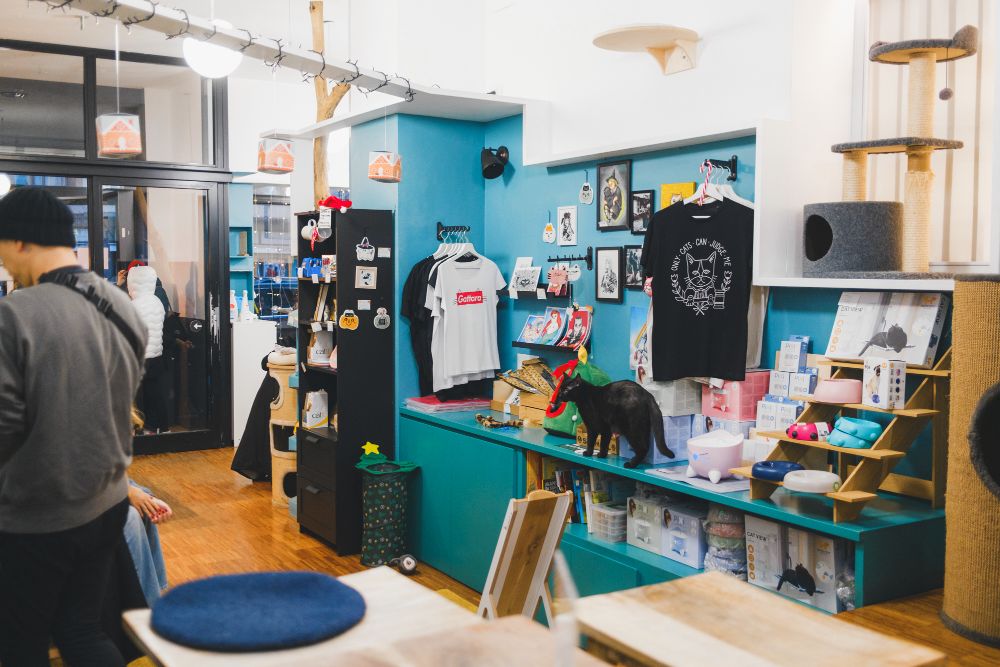 Crazy Cat Cafe in Milan