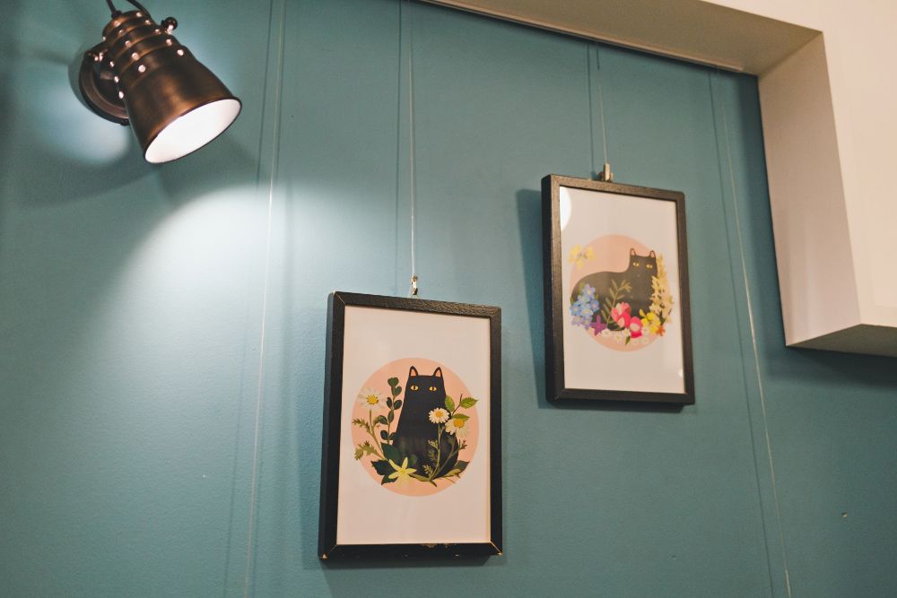 Crazy Cat paintings