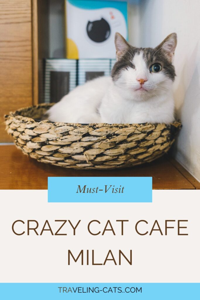 Milan Italy café