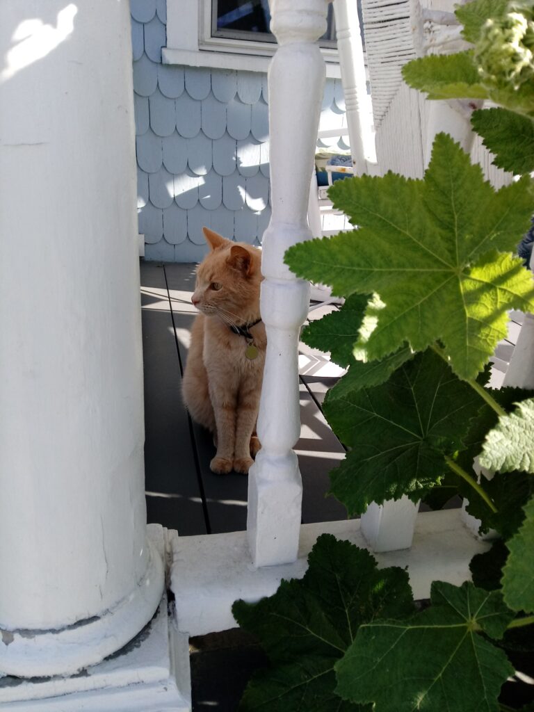Block Island hotel