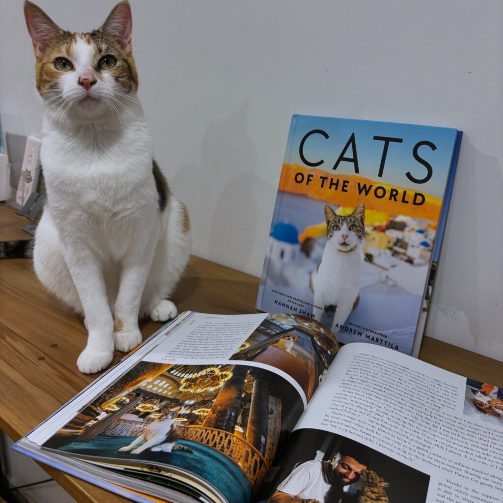Cats of the World