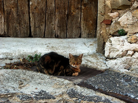 Cucugnan