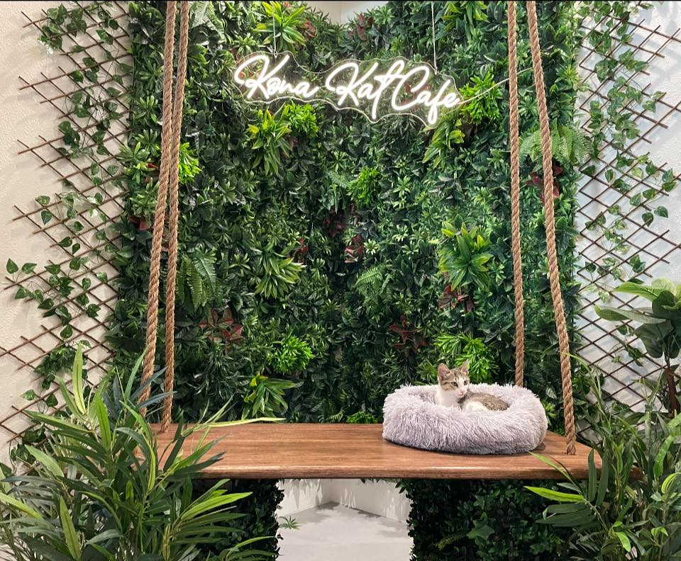 Kona Kat Cafe