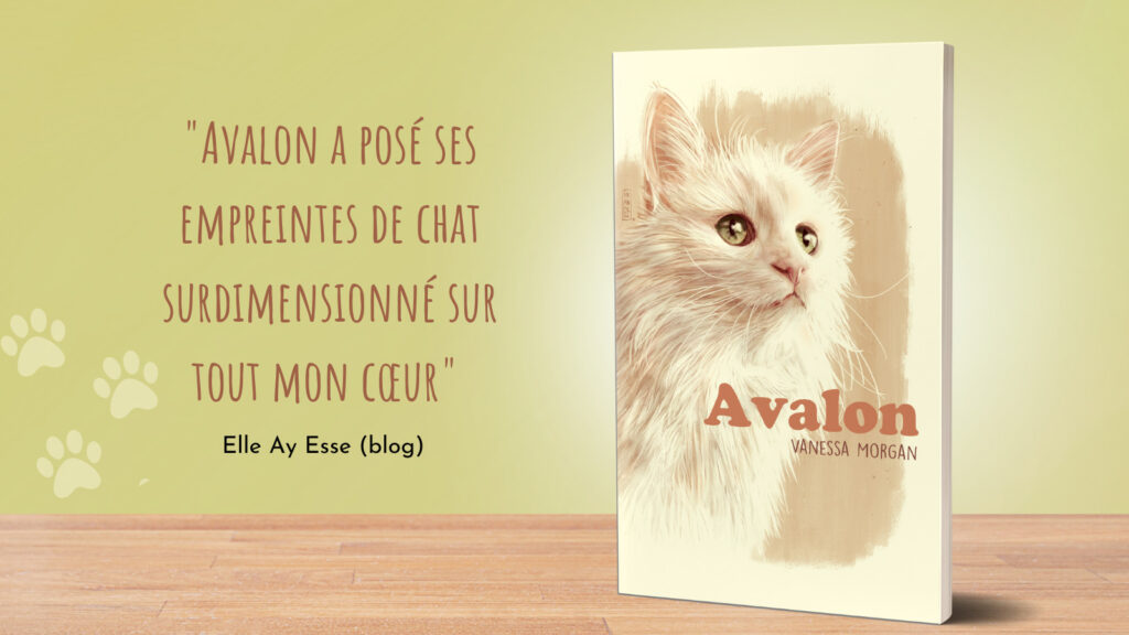 livre sur les chats